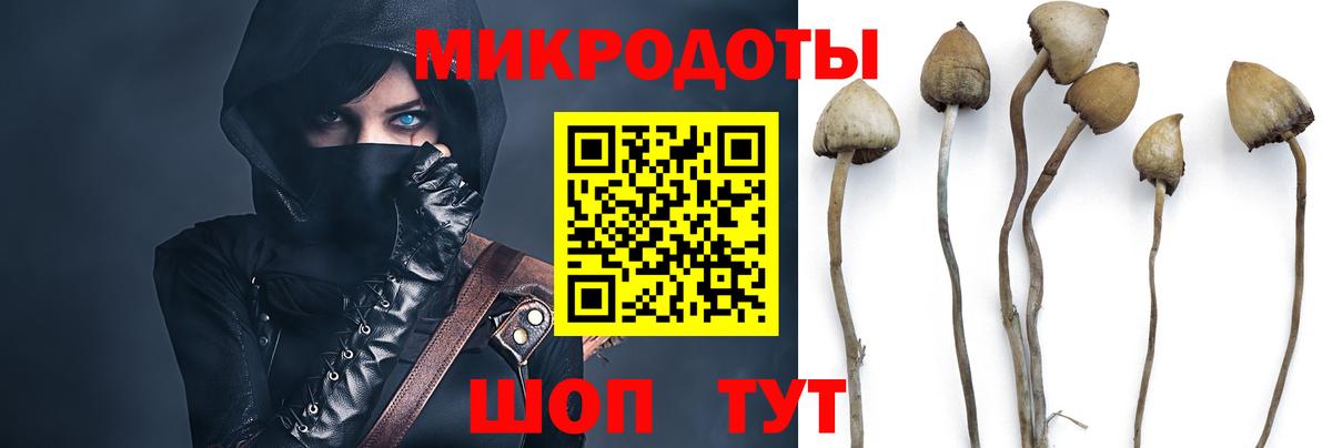 Галлюциногенные грибы Magic Shrooms Назарово
